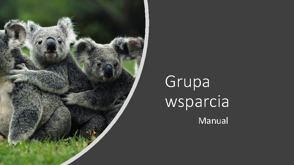 Grupa wsparcia Manual 