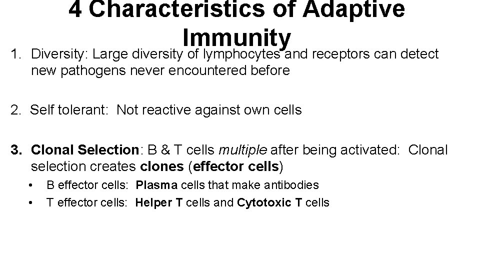 1. 4 Characteristics of Adaptive Immunity Diversity: Large diversity of lymphocytes and receptors can