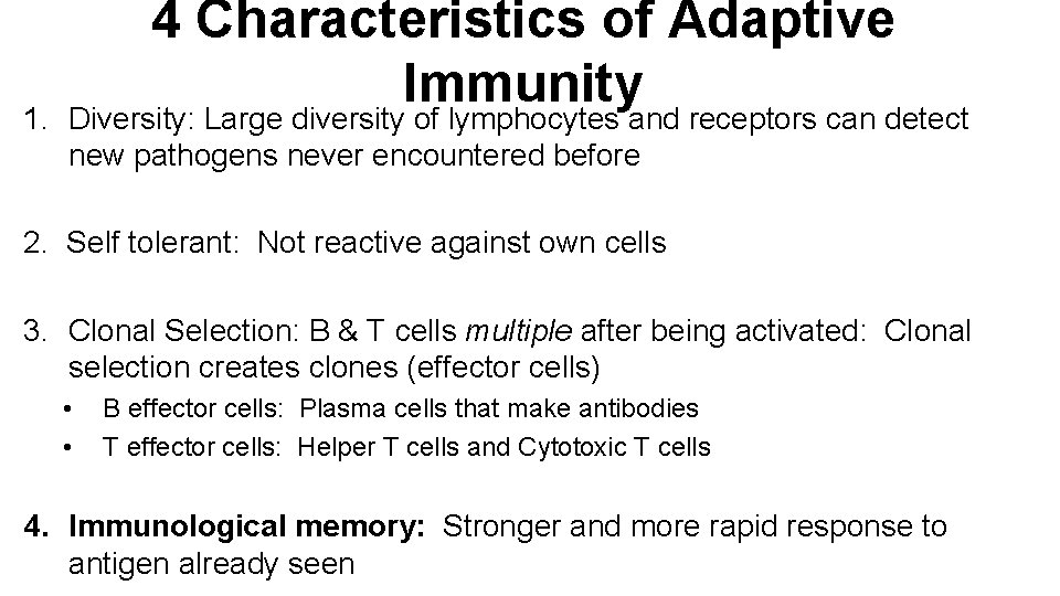 1. 4 Characteristics of Adaptive Immunity Diversity: Large diversity of lymphocytes and receptors can