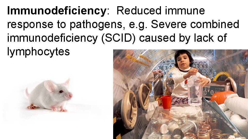 Immunodeficiency: Reduced immune response to pathogens, e. g. Severe combined immunodeficiency (SCID) caused by
