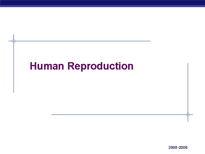 Human Reproduction AP Biology 2005 -2006 