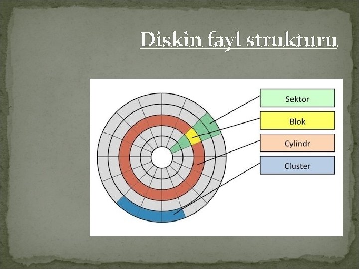 Diskin fayl strukturu 