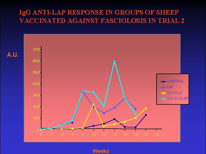 Ig. G ANTI-LAP RESPONSE IN GROUPS OF SHEEP VACCINATED AGAINST FASCIOLOSIS IN TRIAL 2