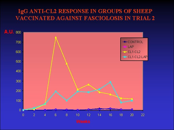 Ig. G ANTI-CL 2 RESPONSE IN GROUPS OF SHEEP VACCINATED AGAINST FASCIOLOSIS IN TRIAL