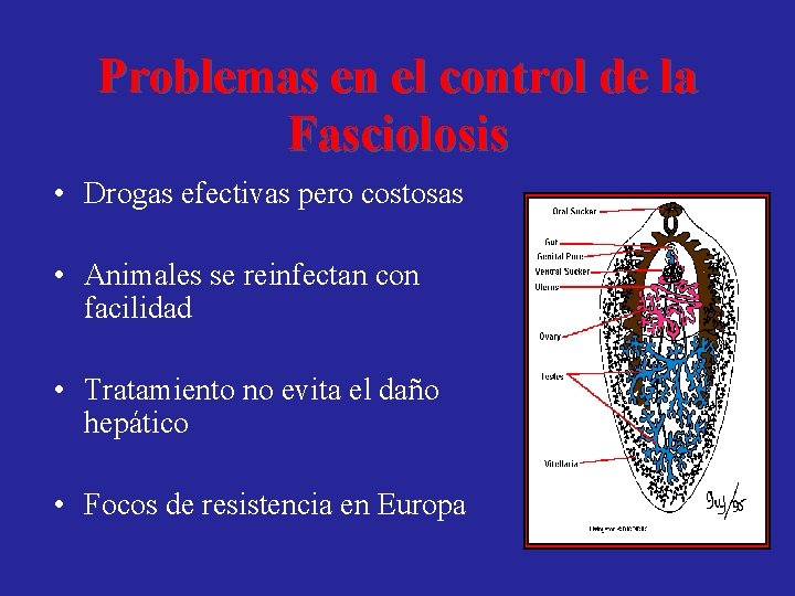 Problemas en el control de la Fasciolosis • Drogas efectivas pero costosas • Animales
