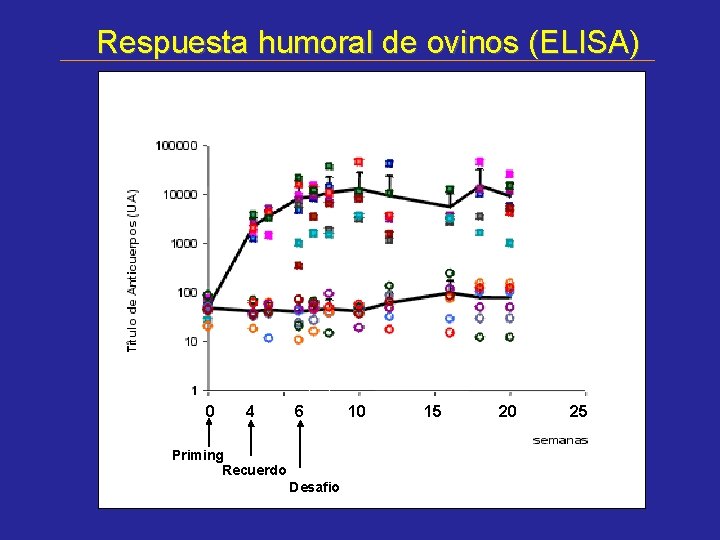 Respuesta humoral de ovinos (ELISA) 0 44 6 Priming Recuerdo Desafio 10 15 20