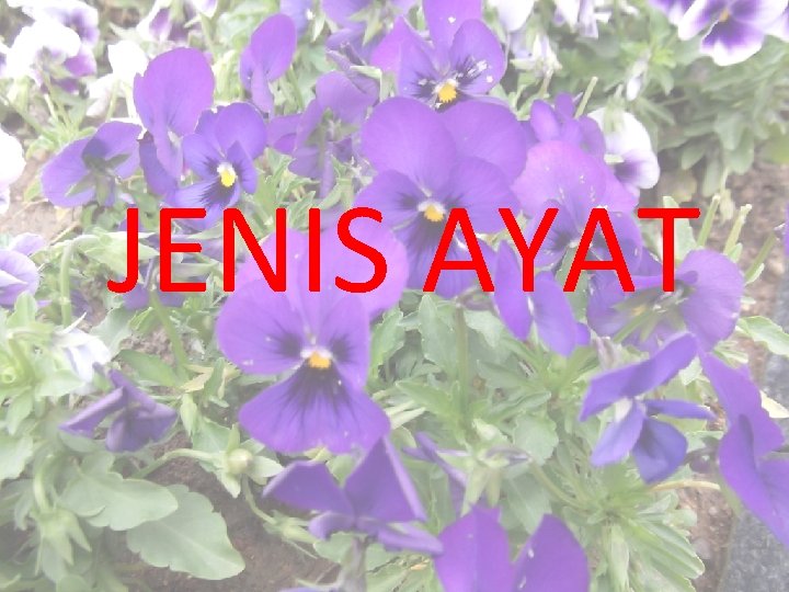JENIS AYAT 