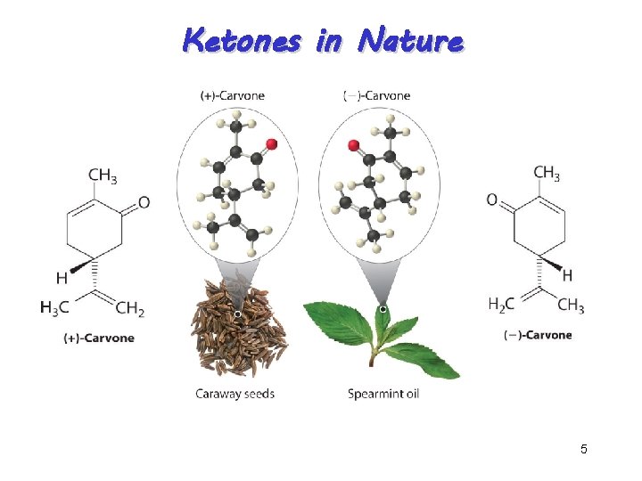 Ketones in Nature 5 