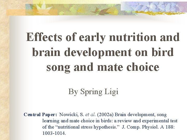 Effects of early nutrition and brain development on bird song and mate choice By