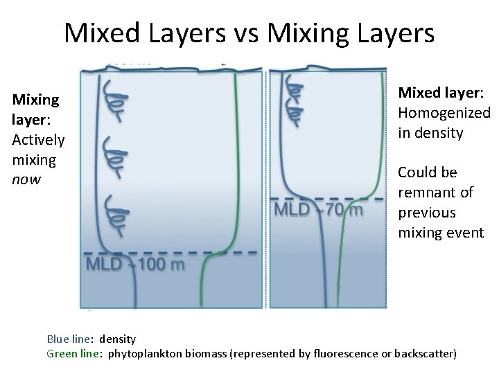 Mixed Layers vs Mixing Layers Mixing layer: Actively mixing now Mixed layer: Homogenized in