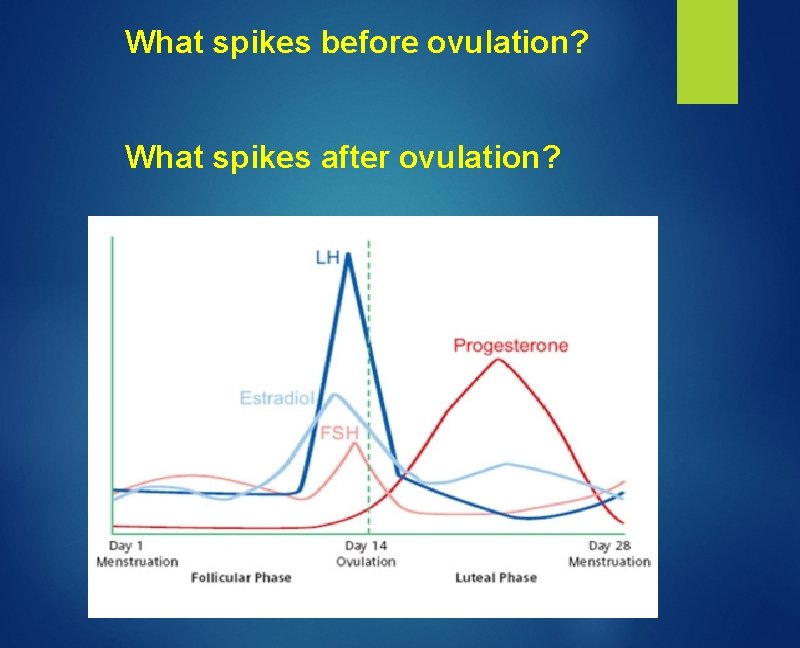 What spikes before ovulation? What spikes after ovulation? 