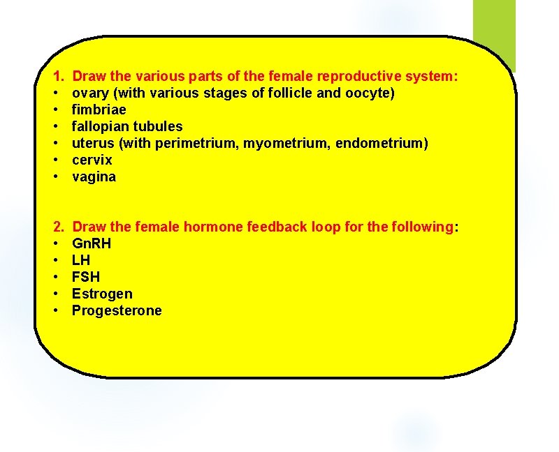 1. • • • Draw the various parts of the female reproductive system: ovary