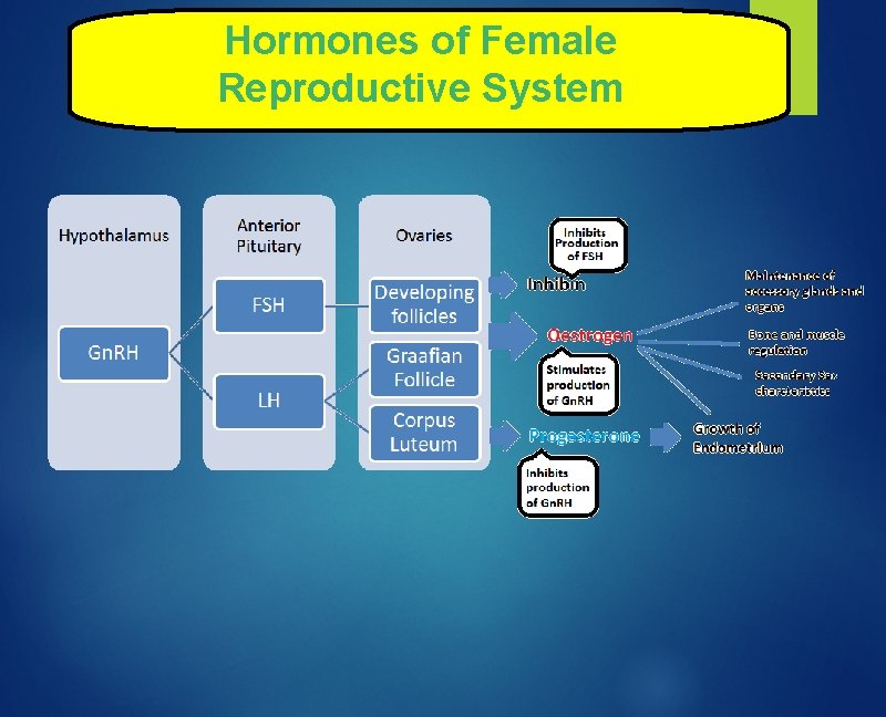 Hormones of Female Reproductive System 