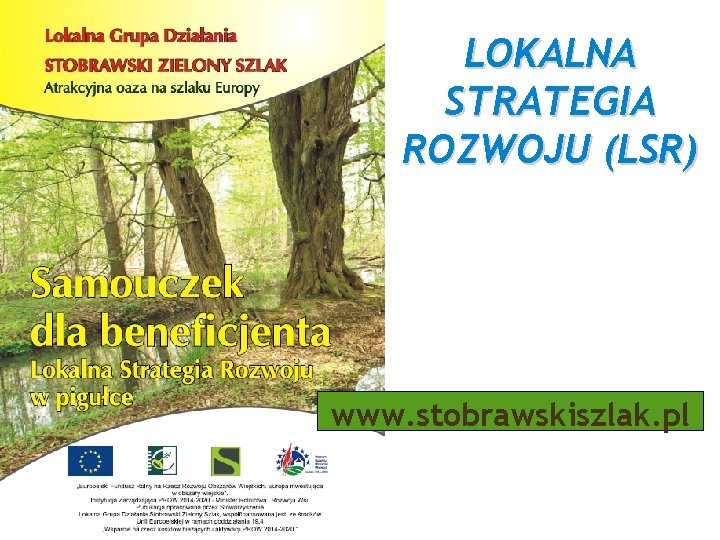 LOKALNA STRATEGIA ROZWOJU (LSR) www. stobrawskiszlak. pl 