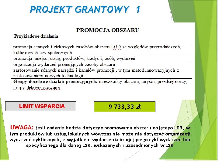 PROJEKT GRANTOWY 1 LIMIT WSPARCIA UWAGA: 9 733, 33 zł jeśli zadanie będzie dotyczyć