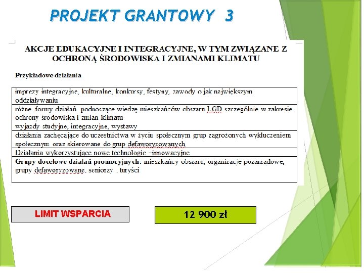 PROJEKT GRANTOWY 3 LIMIT WSPARCIA 12 900 zł 