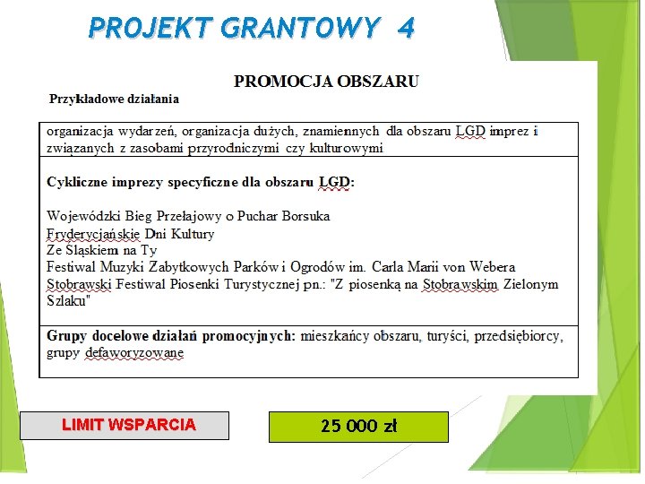 PROJEKT GRANTOWY 4 LIMIT WSPARCIA 25 000 zł 