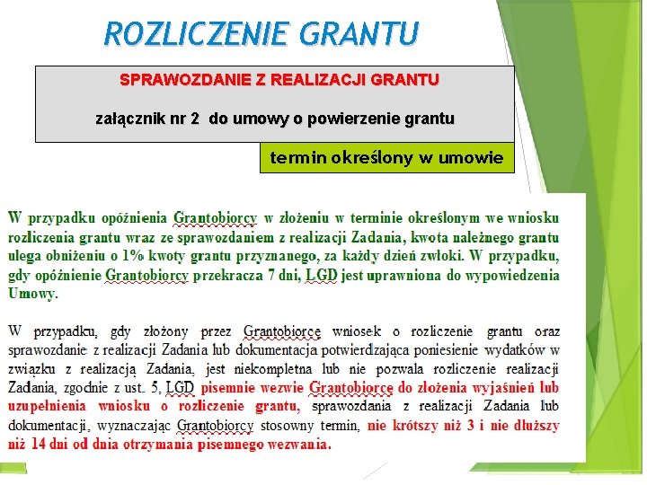 ROZLICZENIE GRANTU SPRAWOZDANIE Z REALIZACJI GRANTU załącznik nr 2 do umowy o powierzenie grantu