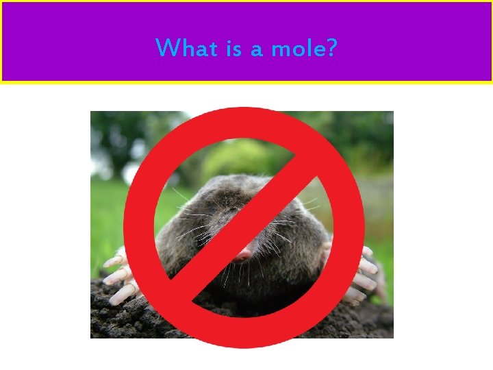 What is a mole? 