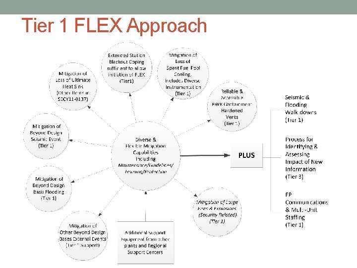 Tier 1 FLEX Approach 19 