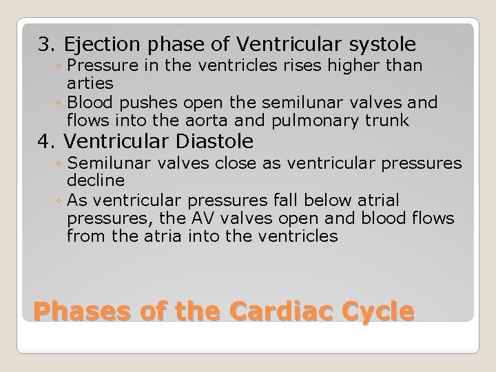 3. Ejection phase of Ventricular systole ◦ Pressure in the ventricles rises higher than