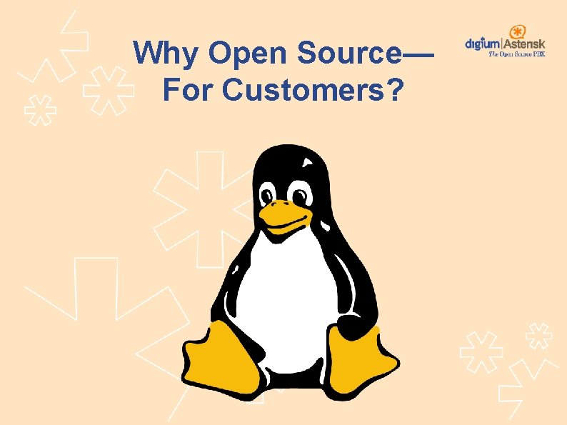 Why Open Source— For Customers? 