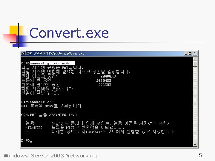 Convert. exe Windows Server 2003 Networking 5 