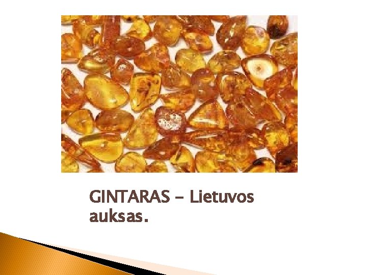 GINTARAS - Lietuvos auksas. 