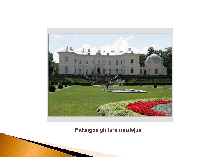 Palangos gintaro muziejus 