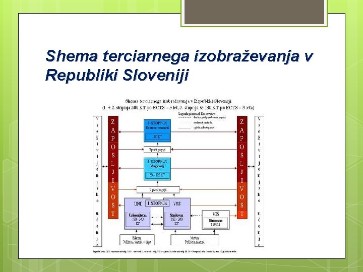 Shema terciarnega izobraževanja v Republiki Sloveniji 