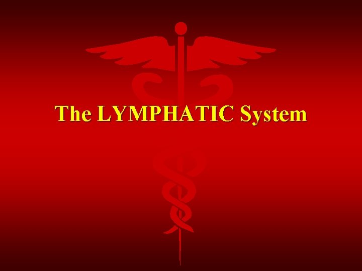 The LYMPHATIC System 