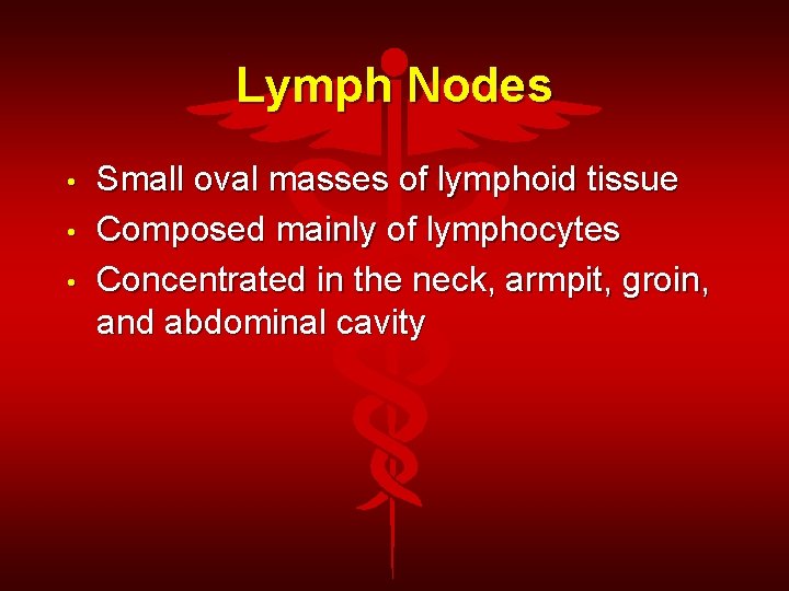 Lymph Nodes • • • Small oval masses of lymphoid tissue Composed mainly of