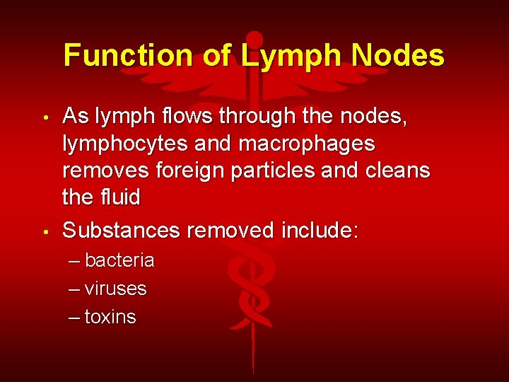 Function of Lymph Nodes • • As lymph flows through the nodes, lymphocytes and