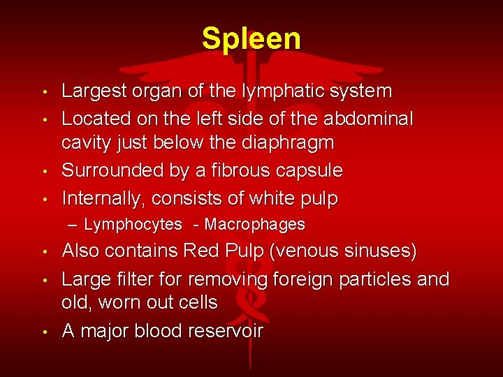 Spleen • • Largest organ of the lymphatic system Located on the left side