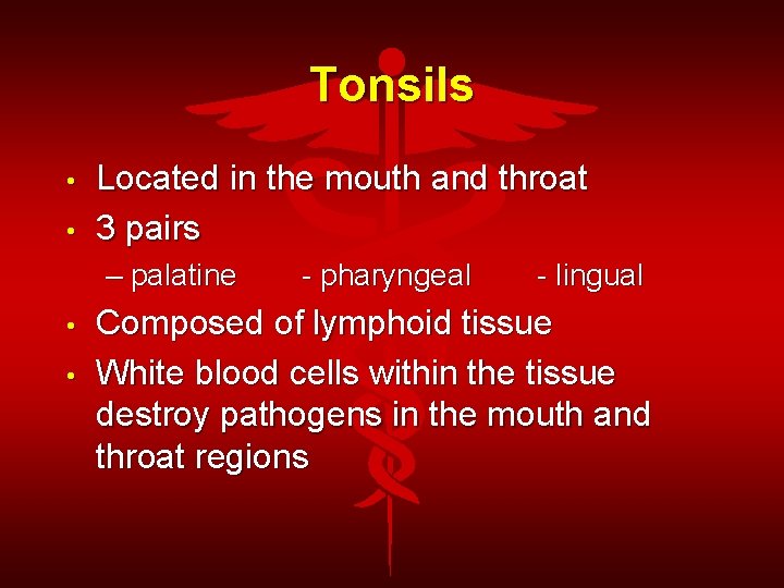 Tonsils • • Located in the mouth and throat 3 pairs – palatine •