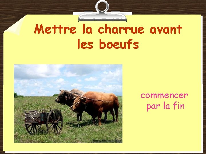 Mettre la charrue avant les boeufs commencer par la fin 