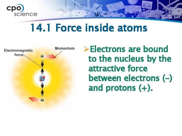 14. 1 Force inside atoms ØElectrons are bound to the nucleus by the attractive