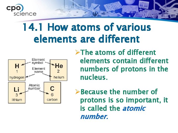 14. 1 How atoms of various elements are different ØThe atoms of different elements