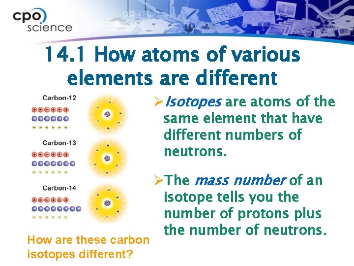 14. 1 How atoms of various elements are different ØIsotopes are atoms of the