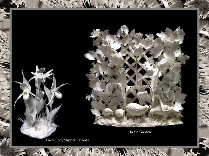 In the Garden Three Lady Slipper Orchids 