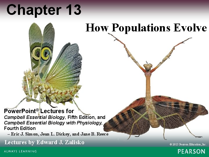 Chapter 13 How Populations Evolve Power. Point® Lectures for Campbell Essential Biology, Fifth Edition,