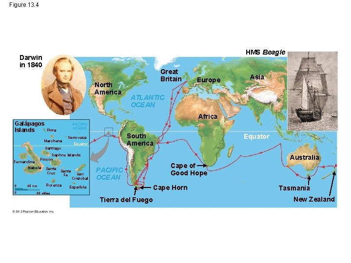 Figure 13. 4 HMS Beagle Darwin in 1840 North America Great Britain Europe Asia