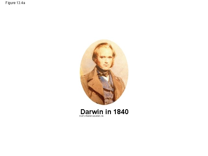Figure 13. 4 a Darwin in 1840 