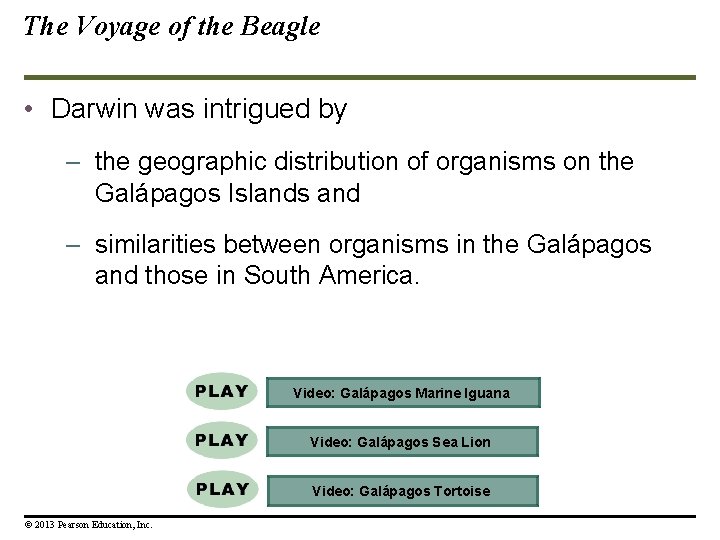 The Voyage of the Beagle • Darwin was intrigued by – the geographic distribution