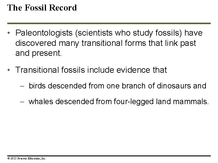 The Fossil Record • Paleontologists (scientists who study fossils) have discovered many transitional forms