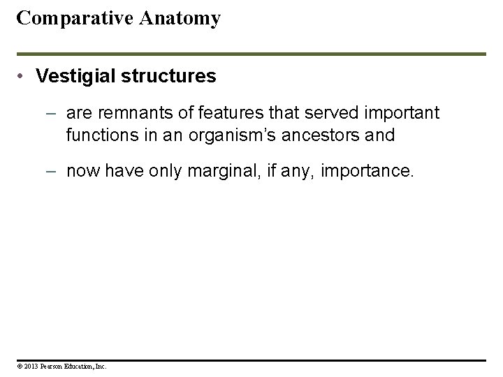 Comparative Anatomy • Vestigial structures – are remnants of features that served important functions