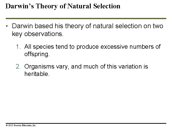 Darwin’s Theory of Natural Selection • Darwin based his theory of natural selection on