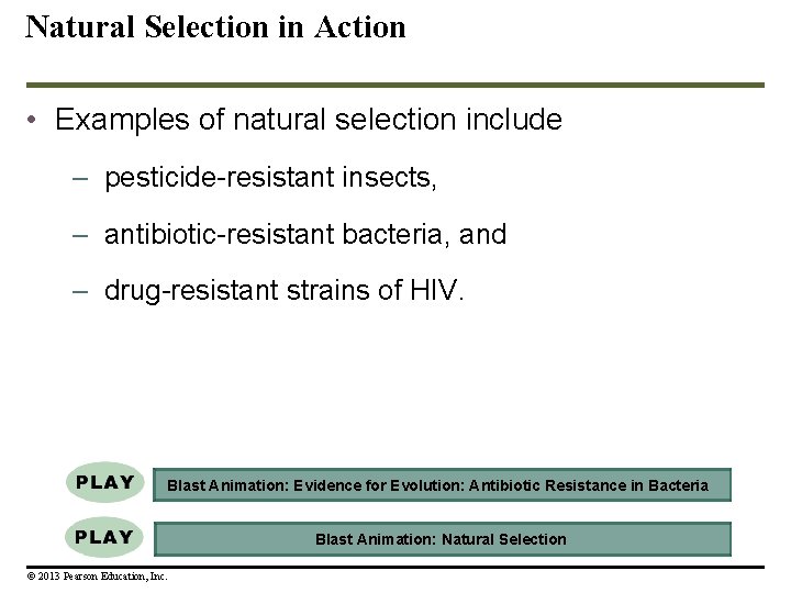 Natural Selection in Action • Examples of natural selection include – pesticide-resistant insects, –