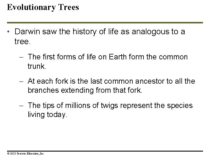 Evolutionary Trees • Darwin saw the history of life as analogous to a tree.