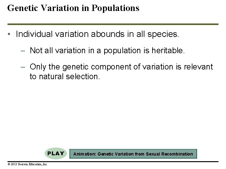 Genetic Variation in Populations • Individual variation abounds in all species. – Not all